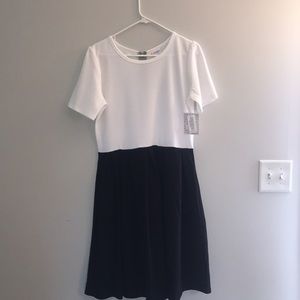 LuLaRoe XL Amelia